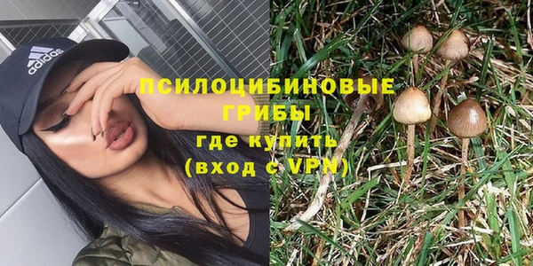 соль ск Алексеевка