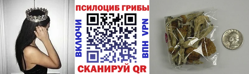 Псилоцибиновые грибы Psilocybe  сколько стоит  Ермолино 